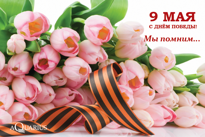 2015_9_мая.jpg 2015_9_мая.jpg